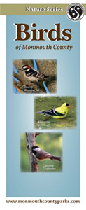 Cover of Birds of Monmouth County