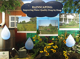 rain gardens