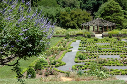 View of Pergola in Parterre at Deep Cut Gardens