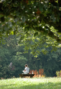 Holmdel Park