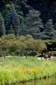 People walk a trail at Holmdel Park