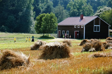 Historical Longstreet Farm Image