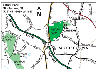 tatum map