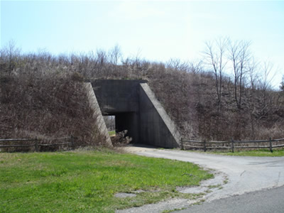 bunker