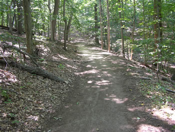 A section of the Tatum Ramble trail