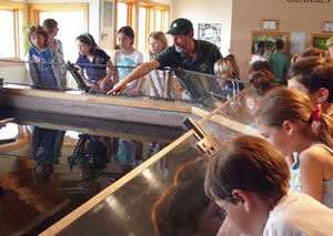 environmental education programs