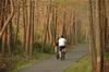 1992 Henry Hudson Trail opens. This paved, 10-foot wide, 22-mile trail is a former railroad. The 10-mile North section travels from Atlantic Highlands to Aberdeen. The 12-mile South Section travels from Aberdeen to Freehold.