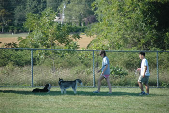 The Thompson Park Off-Leash Dog Area