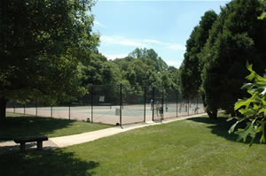 Photo of tennis courts at Thomspon Park