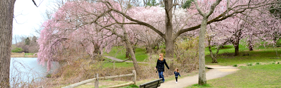 Spend time together at Holmdel Park
