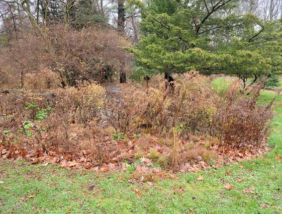 Winter Garden