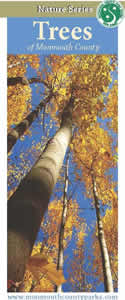 Tree Nature Series Brochure 