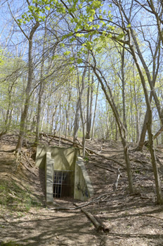 Bunker loop Trail 