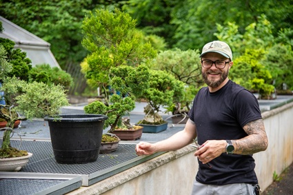 bonsai tree