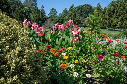 Deep Cut Gardens 