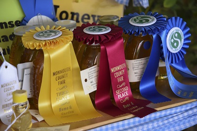 Home & Garden Ribbons Winning Entries with Ribbons 