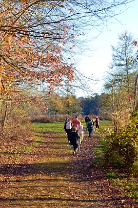 fall walk 