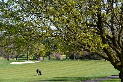 golf