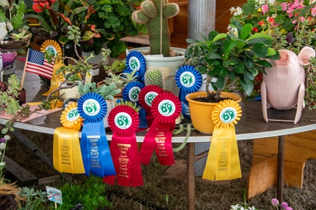 Home & Garden Competition 