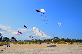 kites flying 