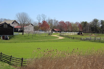 longstreet farm 