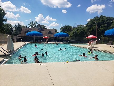 group swimming in the pool 