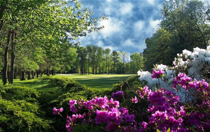 Bel-Aire Golf Course - May 2002