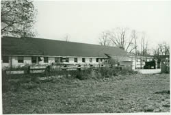 Thompson Park Creative Arts Center in 1993