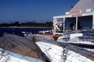 Fisherman's Cove in 1996
