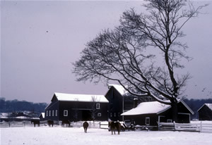 Historic Longstreet Farm in 1984 (after renovations were completed)