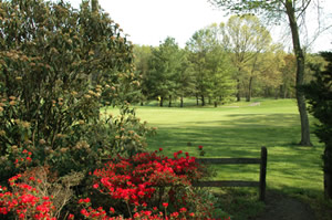 Pine Brook Golf Course - 2008