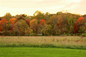 Tatum Park in 2007
