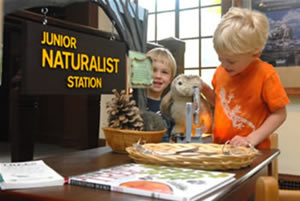 Junior Naturalist Station