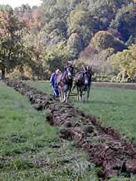 Plowing the fields at Historic Longstreet Farm