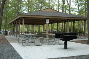 Picnic shelter at Shark River Park