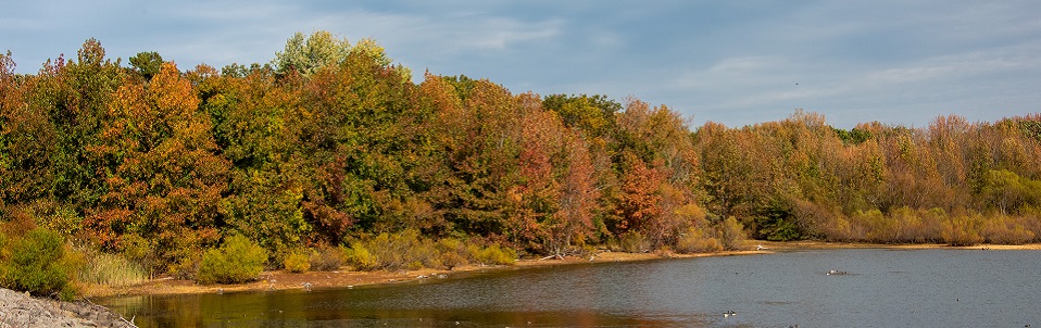 Explore Your County Parks This Fall