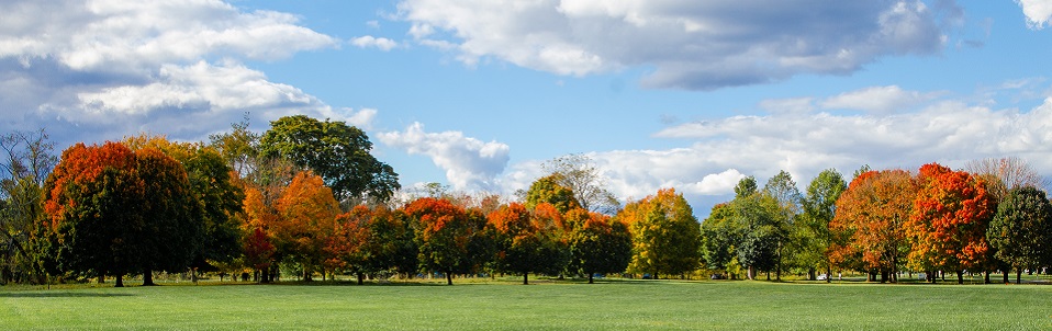 Explore Your County Parks This Fall