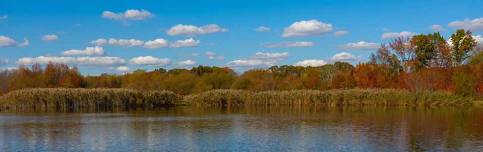 Explore Your County Parks This Fall