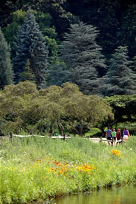 people walk a trail at holmdel park