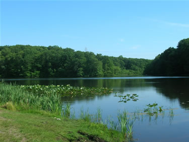 the lake at perrineville park