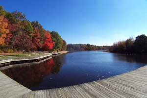 lake at turkey swamp park
